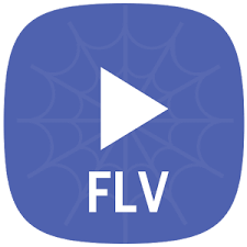 FLV Video Player